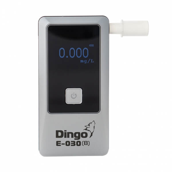 Dingo E 030   1 - Динго E-030 (В)